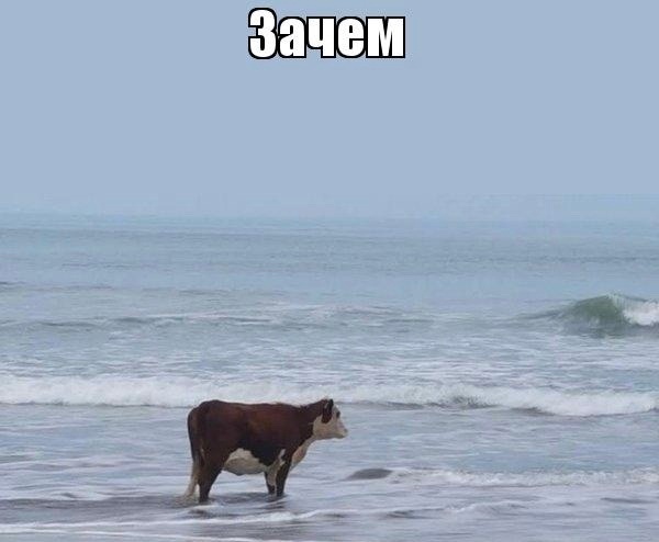  fxabc2000        ? , ,  , , ,   