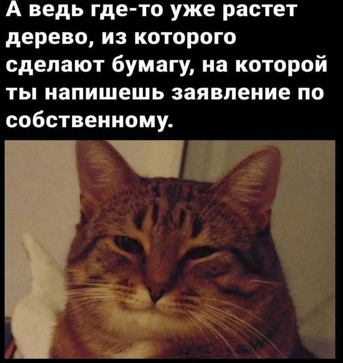 - , , ,   